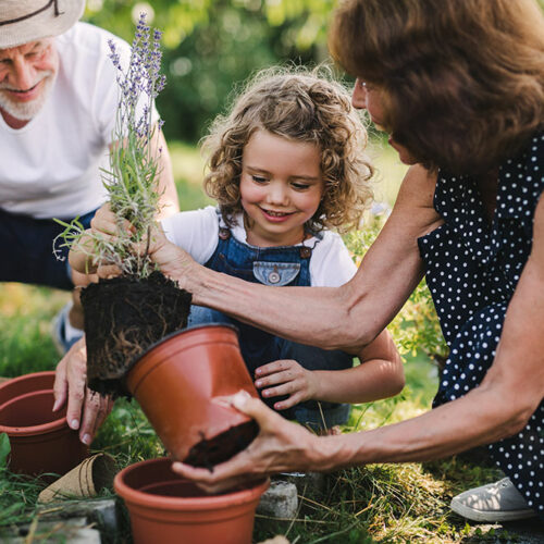 Top 5 gardening mistakes to avoid